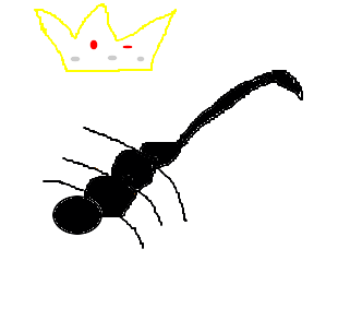 o escorpião rei