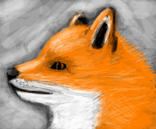 Fox locona
