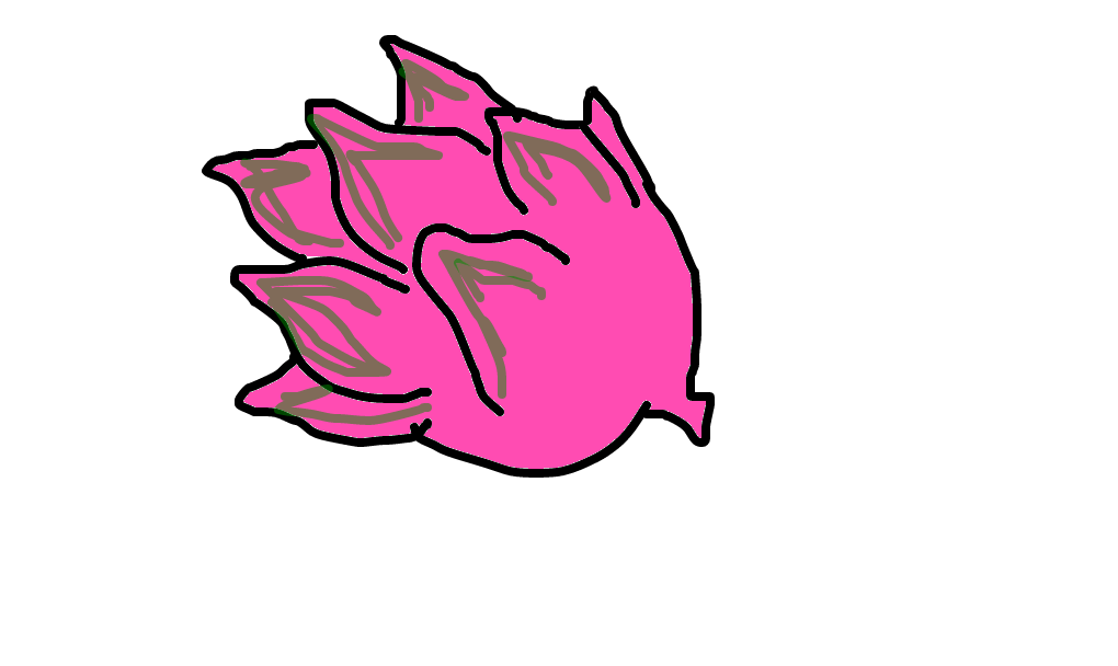 pitaya