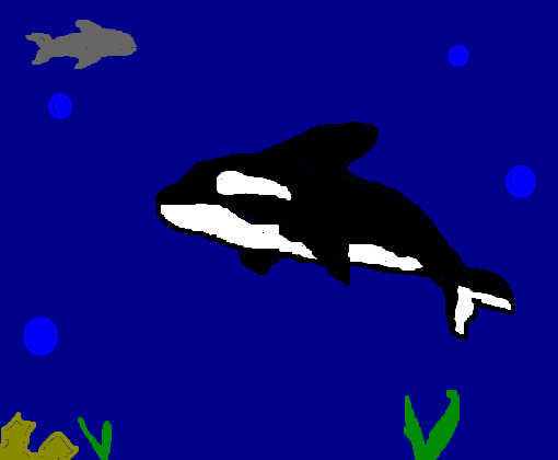 Orca *-*