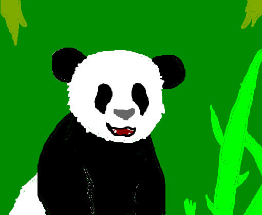 Panda *u*