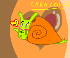 CARACOLES P/ CAROL