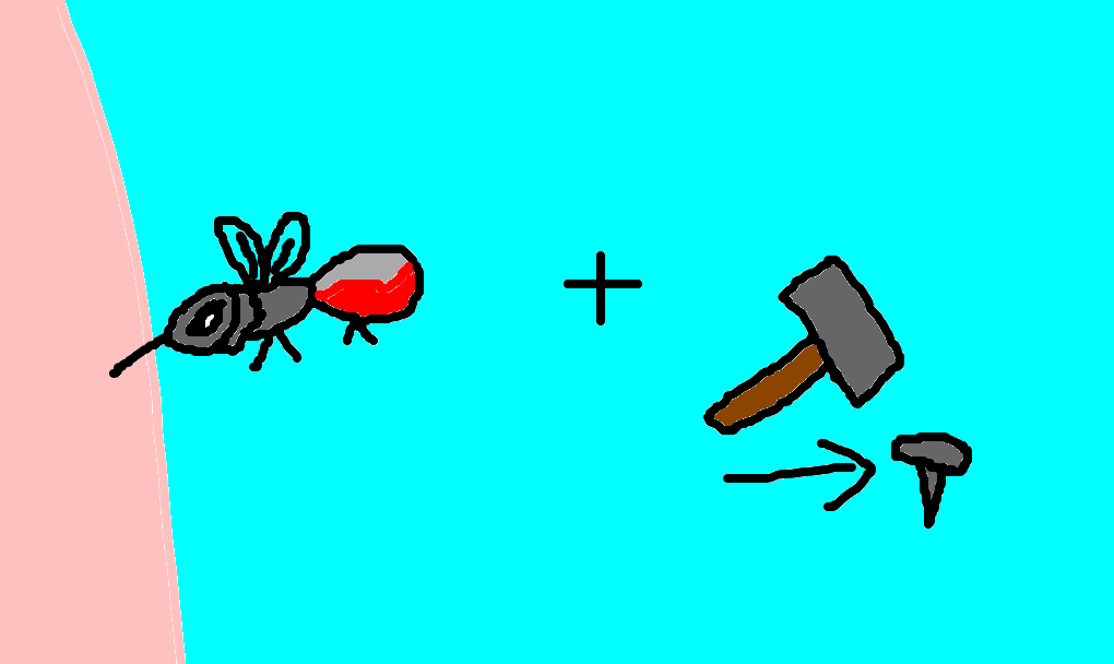 mosquito-prego