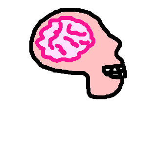 cérebro