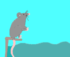 rato pulando no trampolim