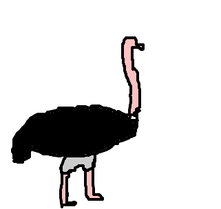 avestruz
