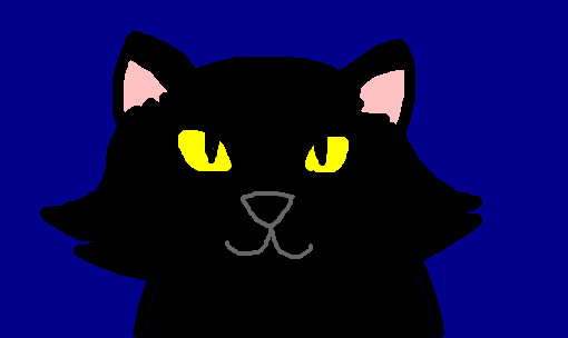 o gato preto