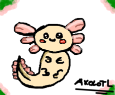 Axolotl *-*