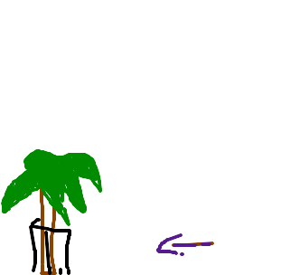palmeira \'