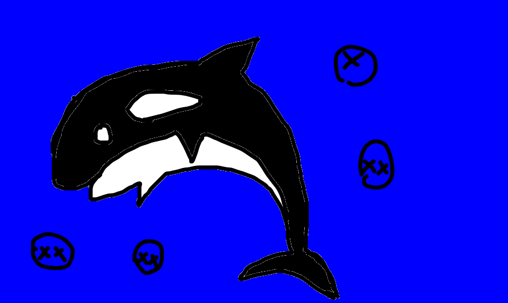 baleia assassina