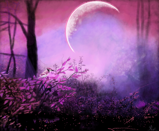 Purple Forest 