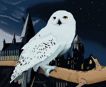 Hedwig/Edwiges