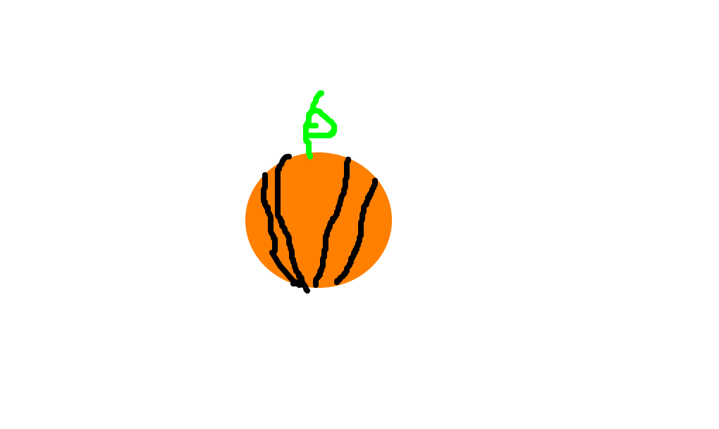 tangerina
