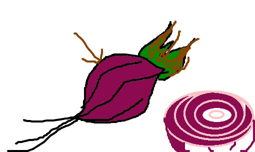 cebola-roxa