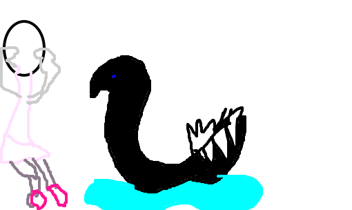 cisne negro