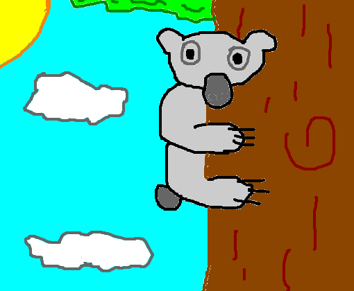 coala estranho