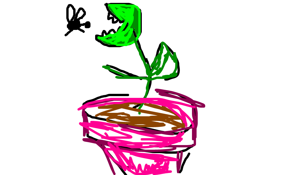 planta carnívora