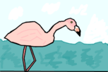 Flamingo___:)