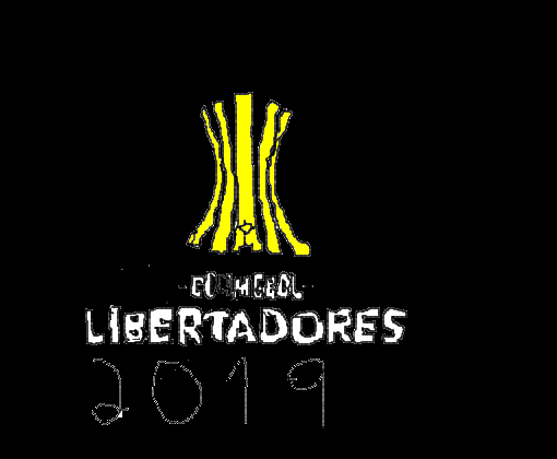 Brasileirão Libertadores 2019