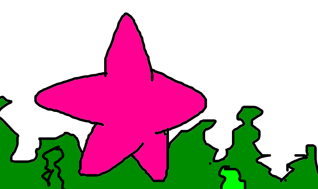 estrela-do-mar