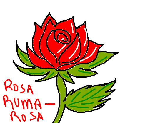 Rosa Rumarosa