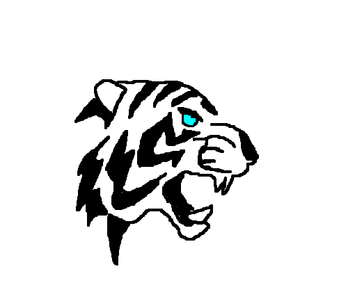 tigre daora