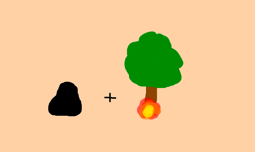 carvão vegetal