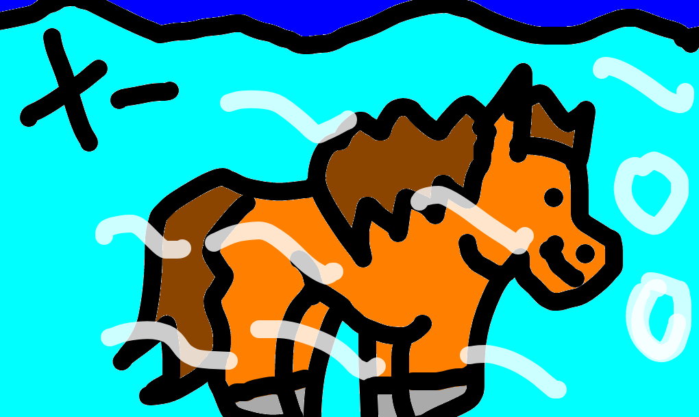 cavalo-marinho