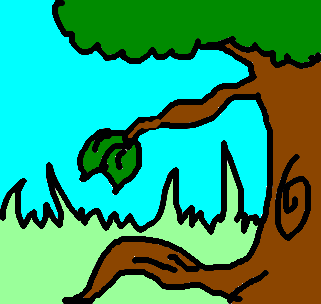 árvore