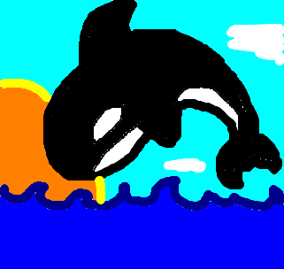 baleia assassina o_o ou orca?