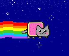 Nyan cat do capiroto