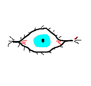 olho