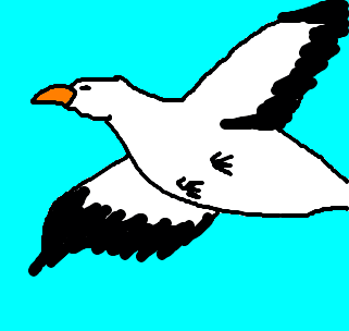 albatroz