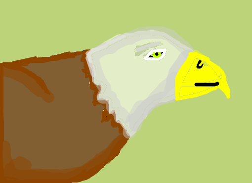 águia feia