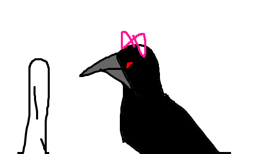 corvina