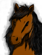 Cavalo Imundo