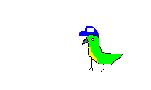 papagaio x D