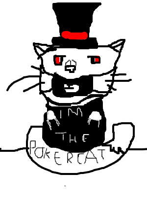 pokercat