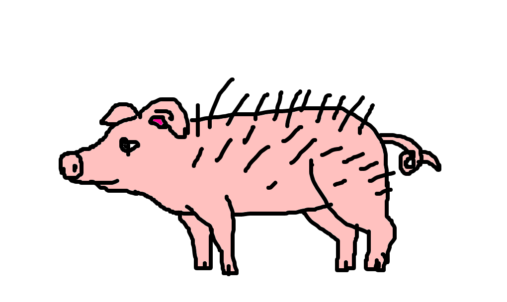 porco-espinho