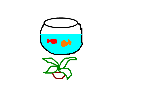 plantas embaixo do aquário