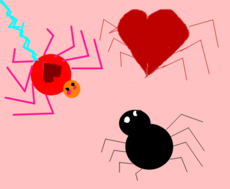 Amor de aranha