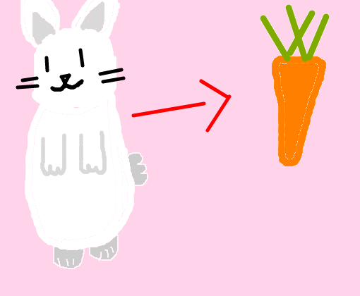 cenoura/coelho