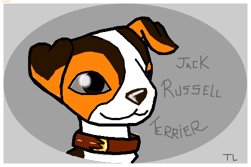Homenagem aos Jack Russel Terrier de todo o mundo!!!