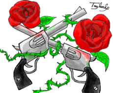 Armas em Rosas_GN'R