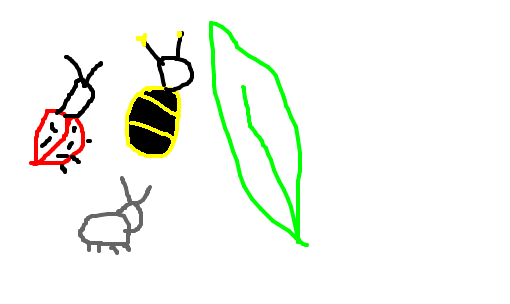 vida de inseto