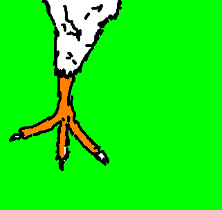 pé-de-galinha