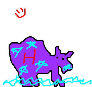 hipopótamo