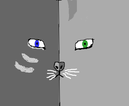 Olhos de Gato para voggagirl e siege
