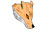 fox/raposa