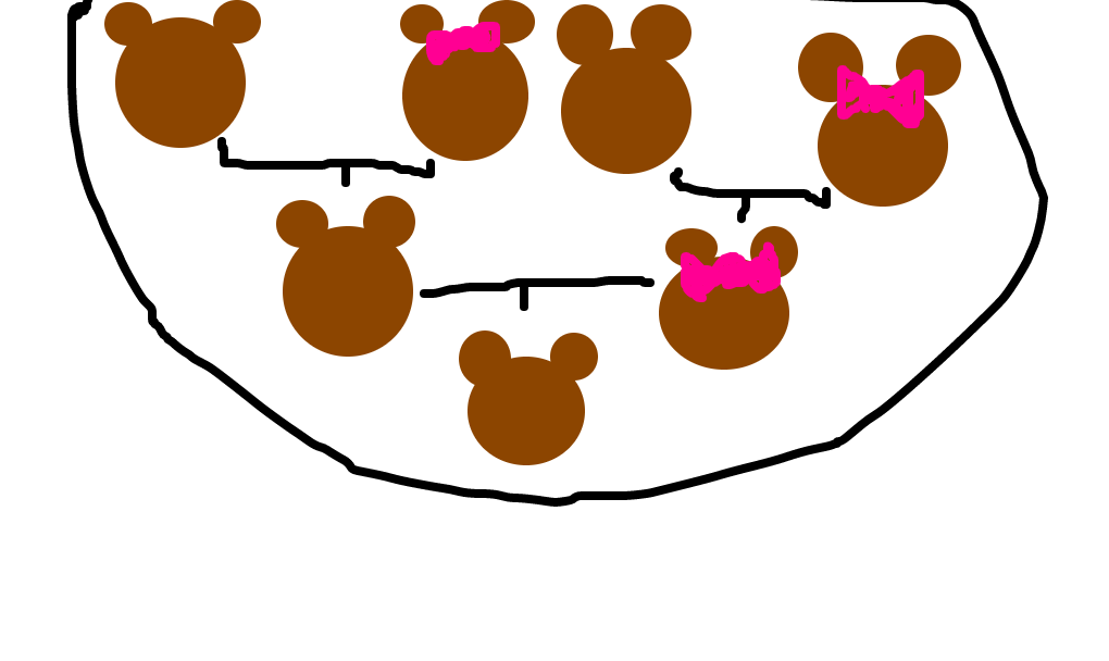 família urso